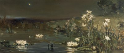 Ster in de Nacht door Vasilii Kotarbinsky