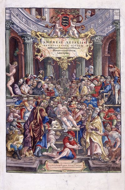 Vlaamse anatoom en arts, Andreas Vesalius, geeft een les aan de medische school in Brussel door Venetian School