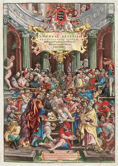 Frontispice van De Humani Corporis Fabrica Libri Septem door Andreas Vesalius, gepubliceerd door Johannes Oporinus, Basel, juni 1543 door Venetian School