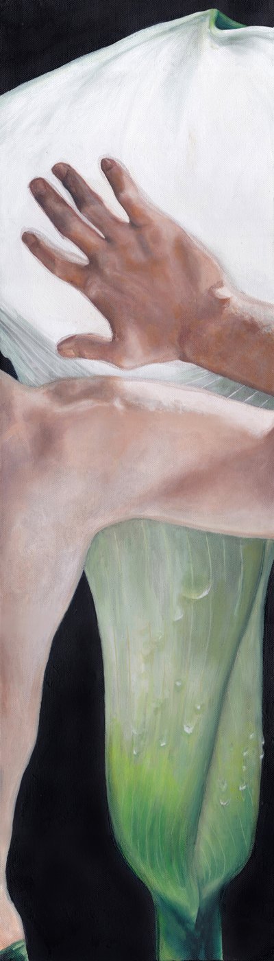 Hand die een calla-lelie aanraakt door Viccy Wanliss