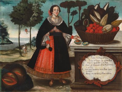 Indiase vrouw in speciale kleding, c.1783 door Vicente Alban