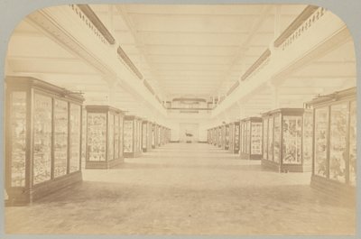 Pl. III. Hoofdverhaal: Vogels door Victor Prevost, Gaston L. Feuardent and Co., New York