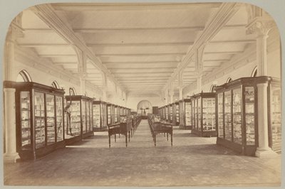 Pl. V. Bovenverdieping: Fossielen door Victor Prevost, Gaston L. Feuardent and Co., New York