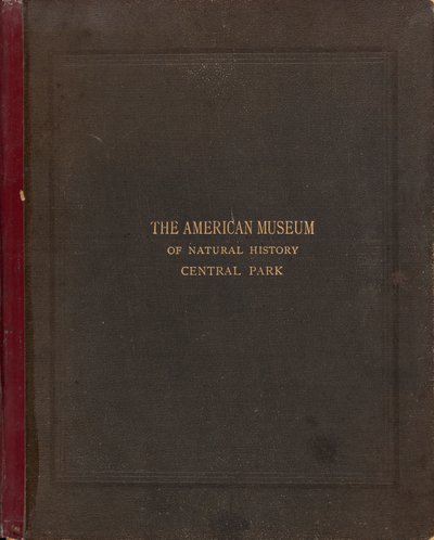 Het fotografische album van het American Museum of Natural History, Central Park, New York City door Victor Prevost, Gaston L. Feuardent and Co., New York