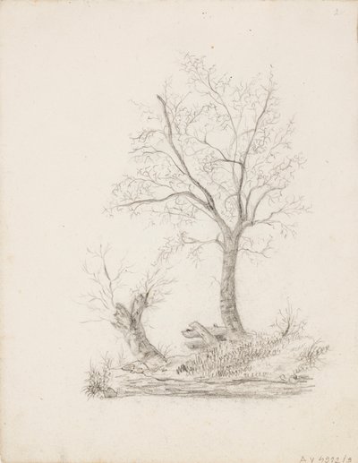 Bomen door Victoria Åberg