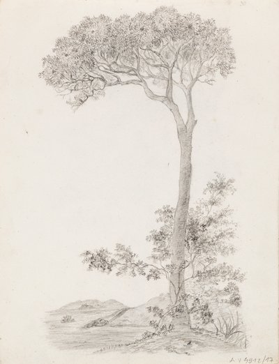 Bomen door Victoria Åberg