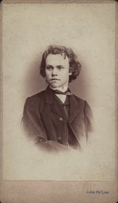 Portret van de componist Anton Rubinstein 1829-1894 door Vienna . Photo studio Julie Haftner