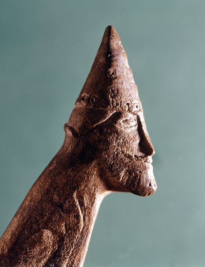 Krijger (bot) door Viking Viking