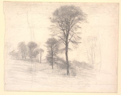 Landschap met verspreide bomen. 