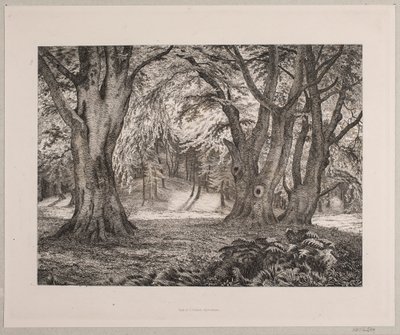 Het Binnenste van een Bos door Vilhelm Kyhn