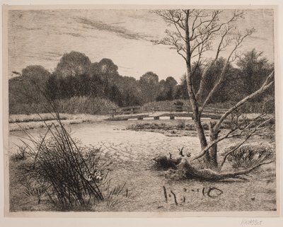 Zonsondergang in een bos door Vilhelm Kyhn