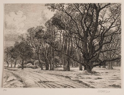Winter in het bos door Vilhelm Kyhn