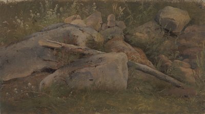 Studie van een steenhoop door Vilhelm Petersen