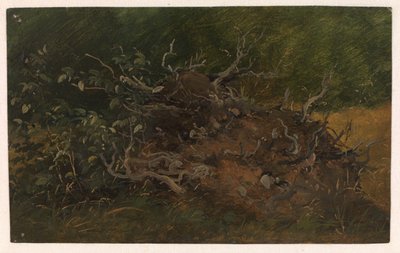 Studie van een boomstronk door Vilhelm Petersen