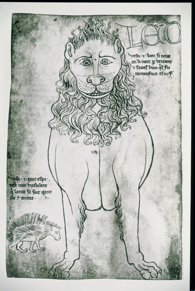 Leeuw en stekelvarken (facsimile) door Villard de Honnecourt