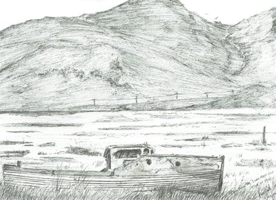 Boot op droog land, Isle of Mull door Vincent Alexander Booth