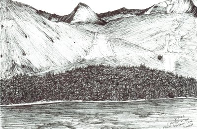Causey Pike, 2005 door Vincent Alexander Booth