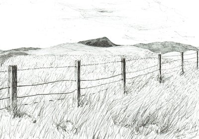 Culter Fell vanaf Hartfell, 2005 door Vincent Alexander Booth