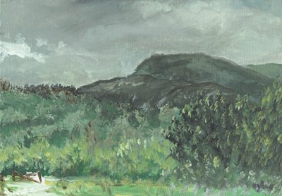 Heuvels bij Creag Dhugh, 2006 door Vincent Alexander Booth