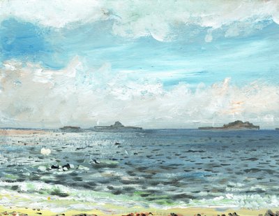 Iona strand door Vincent Alexander Booth