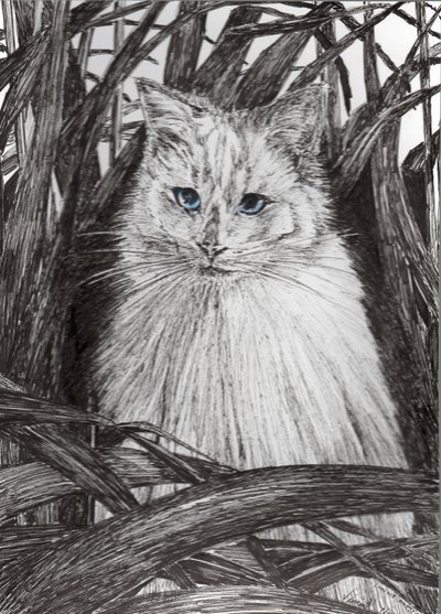 Jungle Monty, 2015 door Vincent Alexander Booth