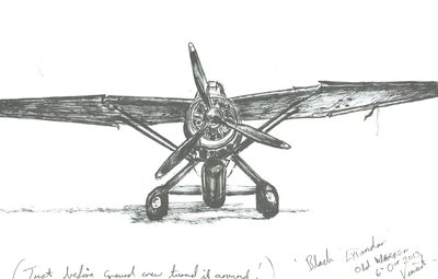 Lysander bij Old Warden, 2012 door Vincent Alexander Booth