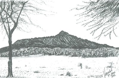 Berg vanaf bootclub bij Lake Naivasha, Kenia; 2006 door Vincent Alexander Booth