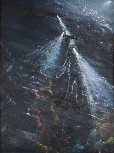 Nachtelijke vlucht van Blencathera, 2016 door Vincent Alexander Booth