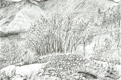 Oude stenen brug in het merengebied, 2005 door Vincent Alexander Booth