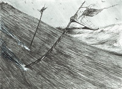 Stormscheppers Zwarte Zee, 2017 door Vincent Alexander Booth