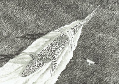 Stormscheppers Kaap Canaveral, 2022 door Vincent Alexander Booth