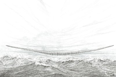 Stormscheppers Cape Leveque door Vincent Alexander Booth