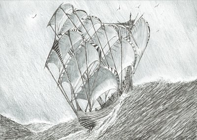 Storm Scheppers Koraalzee door Vincent Alexander Booth