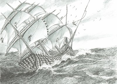 Stormscheppers Grote Zoutmeer door Vincent Alexander Booth