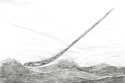 Stormscheppers Meer Mweru door Vincent Alexander Booth