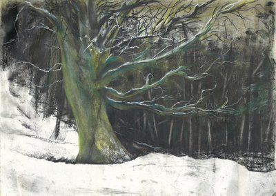 Boom in wintersneeuw in Osmotherley bossen door Vincent Alexander Booth
