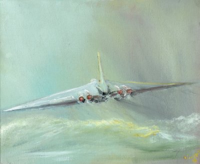 Vulcan B1 sortie, 2016 door Vincent Alexander Booth
