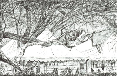 Bruiloftstenten bij Lake Navaisha Kenia, 2003 door Vincent Alexander Booth