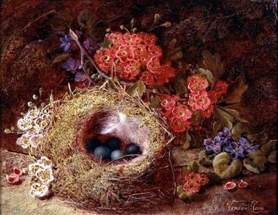 Stilleven van een vogelnest en bloesem door Vincent Clare