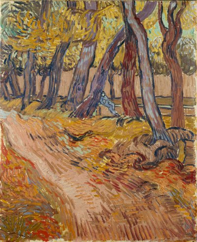 Pad in de tuin van het asiel in Saint-Rémy, 1889 door Vincent van Gogh