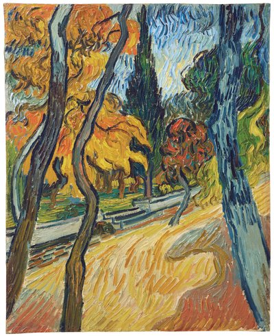 Bomen in de tuin van het asiel door Vincent van Gogh