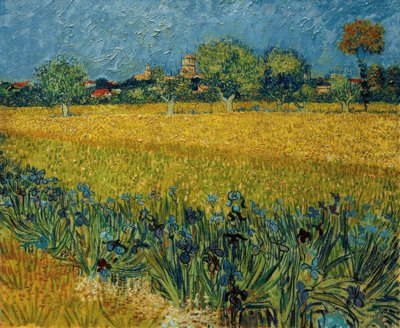 Uitzicht op Arles met irisbloemen op de voorgrond door Vincent van Gogh