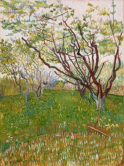 Bloeiende boomgaard. 1888 door Vincent van Gogh