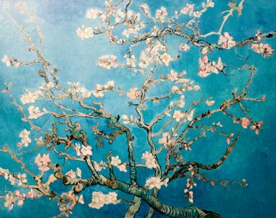 Nederlands: Amandelbloesem Bloeiende Amandelboom door Vincent van Gogh