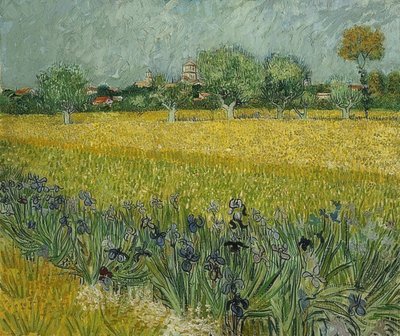 Veld met irissen nabij Arles. Mei 1888 door Vincent van Gogh