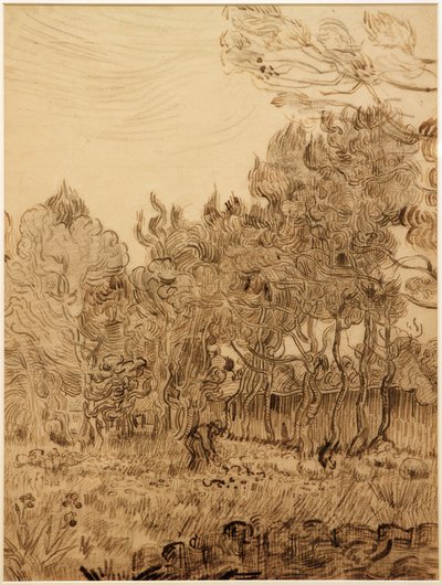 In het park van de kliniek door Vincent van Gogh