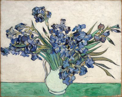 Iris door Vincent van Gogh