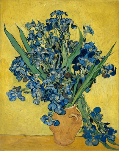 Iris door Vincent van Gogh