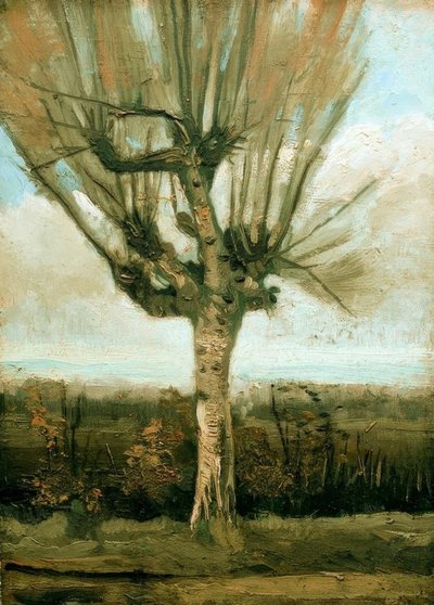 Knotwilg door Vincent van Gogh