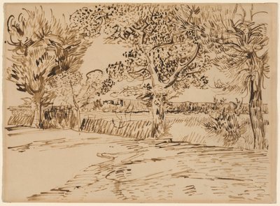 Landschap bij Arles door Vincent van Gogh